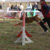 foire-haricots 2011-09-17et18